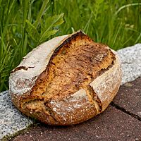 Das kräftig ausgebackene, rustikal aufgerissene Polentabrot liegt auf einem Randstein neben einer grünen Wiese.