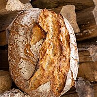 Ein goldbraun ausgebackenes Weizensauerteigbrot steht aufrecht auf einem vorstehenden Holzscheit und lehnt an einem Holzstapel an.