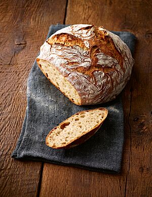 Das Dreikornbrot hat eine mittelporige, lockere Krume und eine rustikal aufgerissene, leicht bemehlte Kruste.