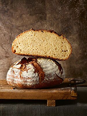 Das kräftig ausgebackene Joghurtbrot mit rustikaler Kruste hat eine kleinporige, lockere Krume.
