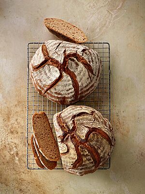 Sowohl das Dinkelvollkornbrot (unten) als auch das Weizenvollkornbrot (oben) haben einen runden Laib mit rustikal aufgerissener Kruste und dunkler, kleinporiger Krume.