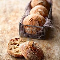 Die runden Mischbrötchen haben eine rustikal aufgerissene, goldbraun ausgebackene Kruste und eine lockere Krume mit wilder Porung.