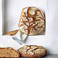 Sowohl das Mischbrot mit Hefe (unten) als auch das reine Sauerteigbrot (oben) haben eine krosse, rustikal aufgerissene Kruste und eine elastische, saftige Krume.