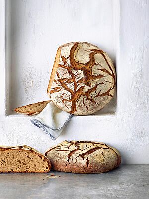 Sowohl das Mischbrot mit Hefe (unten) als auch das reine Sauerteigbrot (oben) haben eine krosse, rustikal aufgerissene Kruste und eine elastische, saftige Krume.
