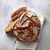 Die kleinporige, lockere Krume des Weizenvollkornbrotes ist umgeben von der kräftig ausgebackenen, rustikal aufgerissenen Kruste.