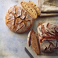 Sowohl das helle Dinkelbrot mit lockerer, klein- bis mittelporiger Krume (links) als auch das Dinkelvollkornbrot mit dunkler, kleinporiger Krume (rechts) haben eine rustikal aufgerissene, knusprige Kruste.