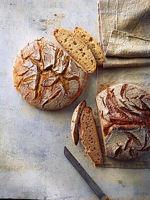 Sowohl das helle Dinkelbrot mit lockerer, klein- bis mittelporiger Krume (links) als auch das Dinkelvollkornbrot mit dunkler, kleinporiger Krume (rechts) haben eine rustikal aufgerissene, knusprige Kruste.