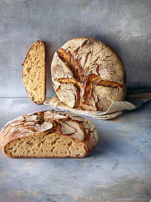 Das Dinkelmischbrot (unten) und das Dinkel-Buttermilch-Brot (oben) haben eine goldgelbe, elastische Krume mit unregelmäßiger Porung und eine rustikal aufgerissene, knusprig ausgebackene Kruste.