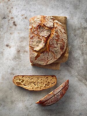 Das Kartoffelbrot hat eine mittelporige, helle Krume und eine kräftig ausgebackene, rustikal aufgerissene Kruste.