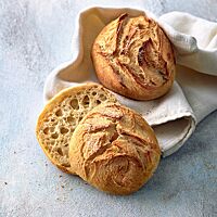 Die runden Brötchen haben die für Fettsemmeln charakteristische knusprig aufgerissene Kruste und eine mittelporige, helle Krume.