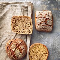 Sowohl die eckigen, rustikal aufgerissenen Roggenbrötchen (oben) als auch die runden, rautenförmig eingeschnittenen Roggenmischbrötchen (unten) haben eine kräftig ausgebackene Kruste und eine kleinporige, lockere Krume.