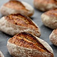Die rustikalen Roggenmischbrötchen haben eine bemehlte, kräftig ausgebackenen Kruste.