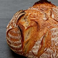 Das goldbraun ausgebackene Weizenbrot hat eine leicht bemehlte, rustikal aufgerissene Kruste.