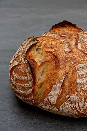 Das rustikal aufgerissene, leicht bemehlte Weizensauerteigbrot hat eine kräftige, krosse Kruste.