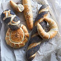 Ein goldgelb ausgebackenes Salzstangerl mit Salz und Kümmel auf der Kruste (Mitte) liegt neben einem Zopfbarches (Mitte rechts), einem mit grobem Salz bestreuten Salzhörnchen (rechts) sowie einem Mohnzopf (oben links) und einem Salz-Kümmel-Weck (Mitte links) auf einem hellen Backpapier.