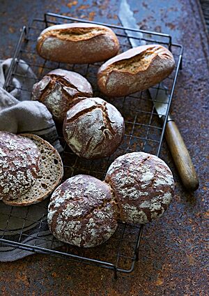 Auf einem rechteckigen, dunklen Gitterrost liegen Vinschgerlen (unten), 100 % Roggenbrötchen (Mitte) und klassische Roggenbrötchen (oben). Die runden, paarweise aneineinandergebackenen Vinschgerlen haben eine bemehlte, von Rissen durchzogene dunkel ausgebackene Kruste.