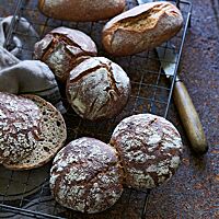 Auf einem rechteckigen, dunklen Gitterrost liegen Vinschgerlen (unten), 100 % Roggenbrötchen (Mitte) und klassische Roggenbrötchen (oben). Die runden Roggenbrötchen aus 100 % Roggenmehl haben eine bemehlte, rustikal aufgerissene Kruste.