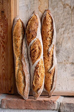 Baguette (2023). Drei Baguettes mit kräftig ausgebackener, knuspriger Kruste lehnen an einer Holzwand.