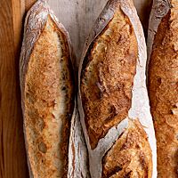 Die Kruste der Baguettes ist kräftig ausgebacken und rustikal aufgerissen.