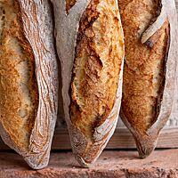 Drei Baguettes mit weit aufgerissenen Einschnitten stehen mit ihren spitz zulaufenden Enden auf einem roten Backstein.