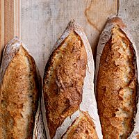 Der Ausbund der Baguettes ist knusprig und goldbraun ausgebacken und setzt sich gut von der bemehlten Kruste ab.