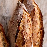Die leicht bemehlte, splitterige Kruste der Baguettes sieht sehr appetitlich aus.