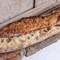 Die Krume des Baguettes ist elastisch und locker.