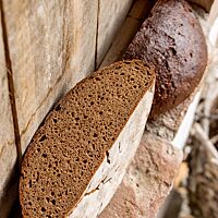 Die saftige, lockere Krume des Roggenbrotes ist umgeben von einer glatten, kräftig ausgebackenen Kruste.