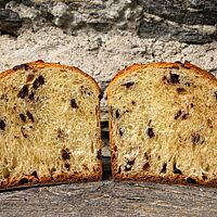 Zwei Hälften des Schokottone zeigen im Anschnitt die lockere, elastische und von Schokostückchen durchzogene Krume.