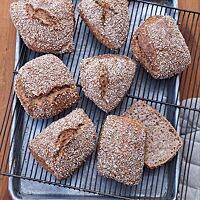 Die Kernigen liegen auf einem Rost über einer rechteckigen Edelstahlform. Die mit Schrot bestreute Kruste der eckigen Brötchen ist rustikal aufgerissen und umgibt die saftige, elastische, kleinporige Krume.