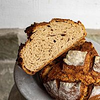 Die Krume des Grießbrotes ist weich und elastisch.